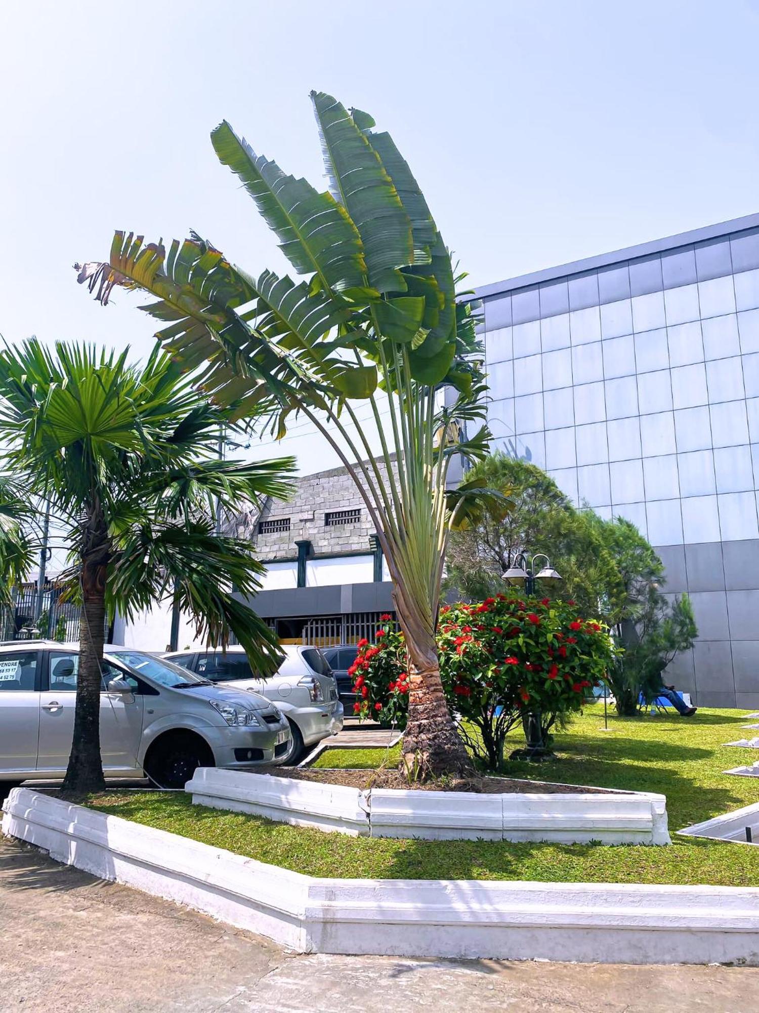 Hotel Vallee Des Princes Douala Exterior foto